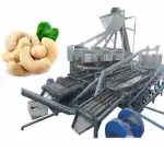 Cashew Nut Processing Machine